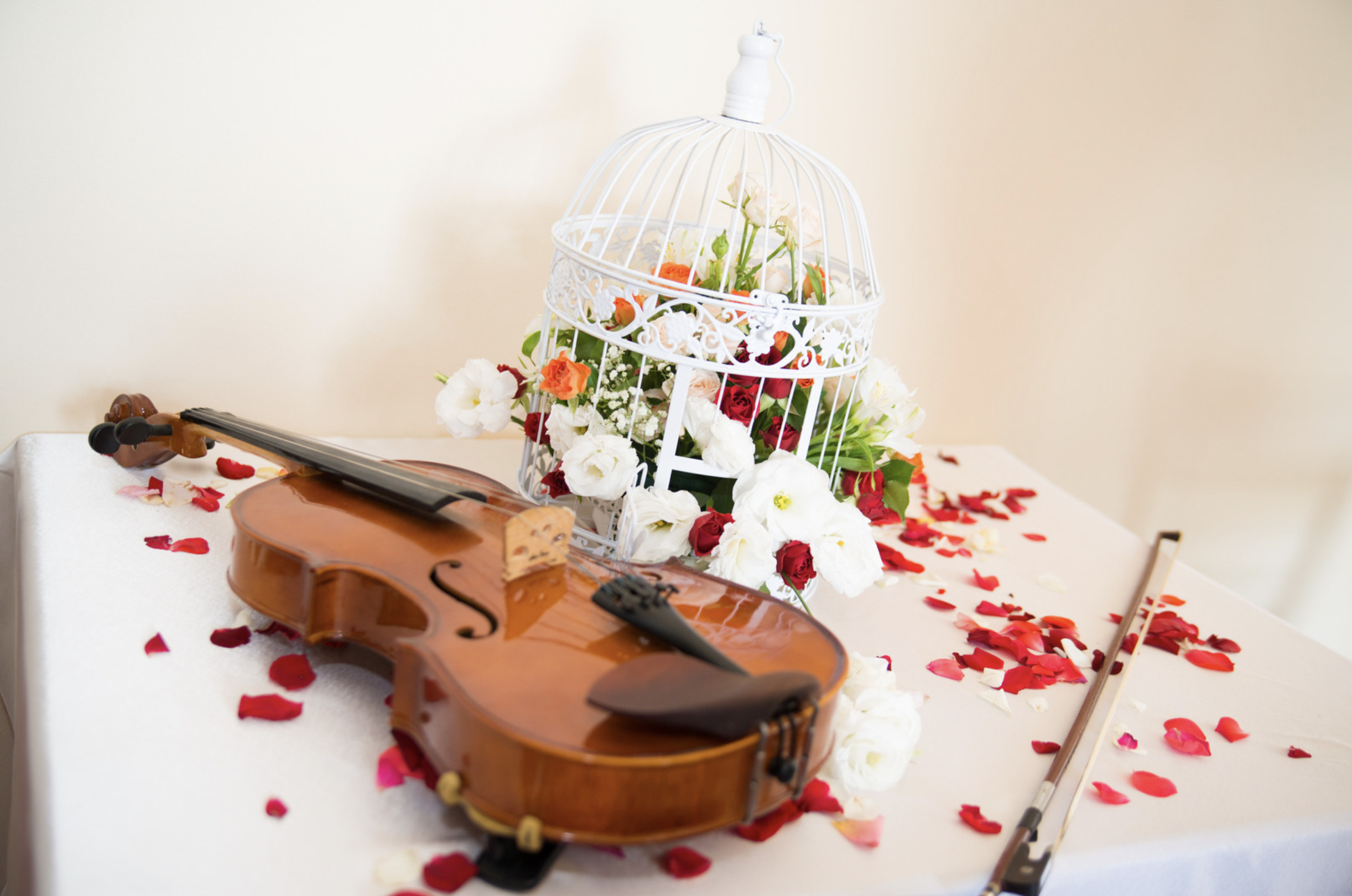 You are currently viewing Crafting a Ceremony That Speaks to Your Soul: A Guide to Readings, Music, Vows, and Personalized Touches